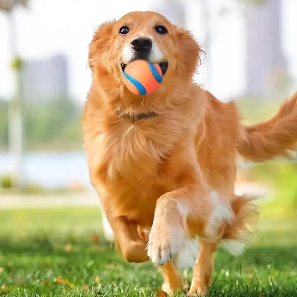 Dog Fetch & Chew Toy Ball – Solid Elastic Rubber for Small, Medium & Large Dogs