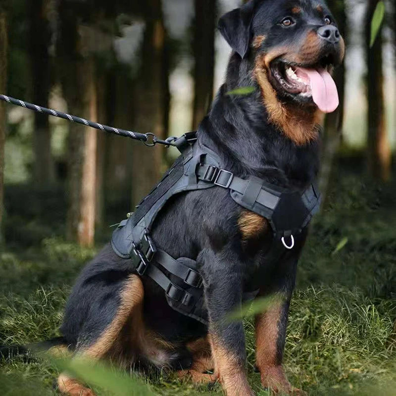Heavy DutyTactical Leash Set Dog Harness for Large Dog