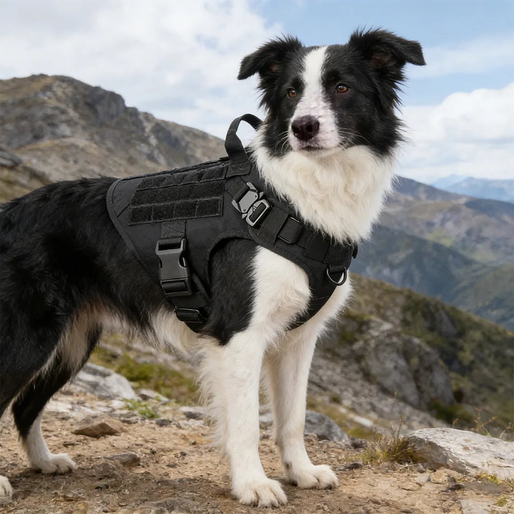 Tactical Dog Harness and Leash Set Service Dog Vest with Control Handle Adjustable Pet Training Harness for Dogs Walking