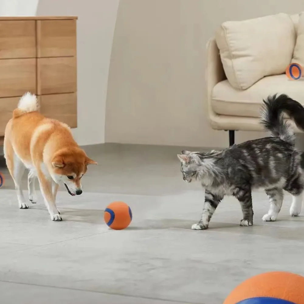 Dog Fetch & Chew Toy Ball – Solid Elastic Rubber for Small, Medium & Large Dogs
