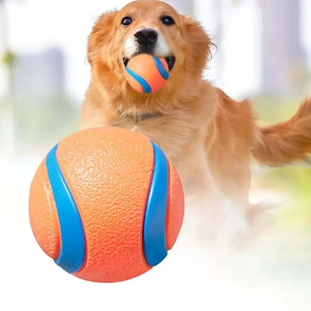 Dog Fetch & Chew Toy Ball – Solid Elastic Rubber for Small, Medium & Large Dogs