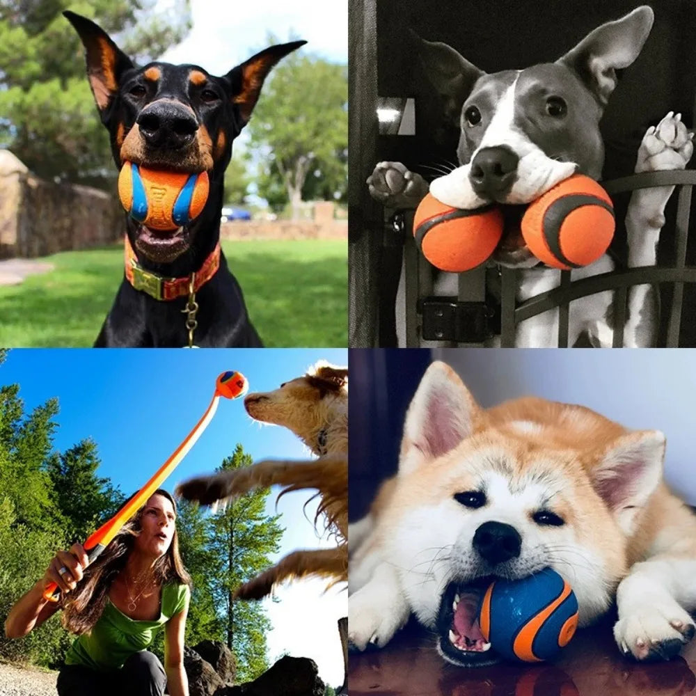Dog Fetch & Chew Toy Ball – Solid Elastic Rubber for Small, Medium & Large Dogs