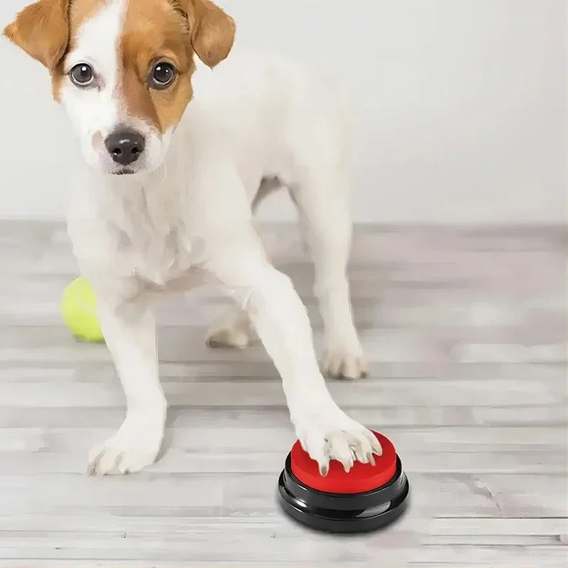 Recordable Dog Talking Button Toy – Interactive Voice Training Pet Toy